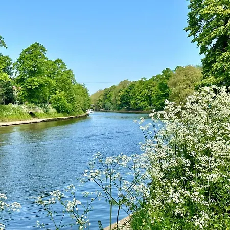 7 Bluebridge Court With Free Parking 公寓